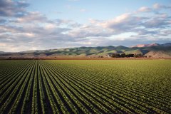 photo-of-green-field-near-mountains-974314-2